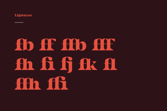Camijo Display Serif Font 2 Desigix Shop