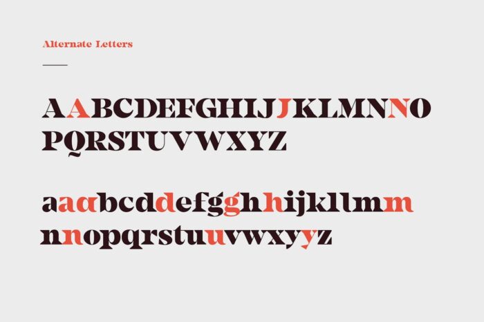 Camijo Display Serif Font 6 Desigix Shop
