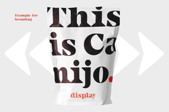 Camijo Display Serif Font 9 Desigix Shop