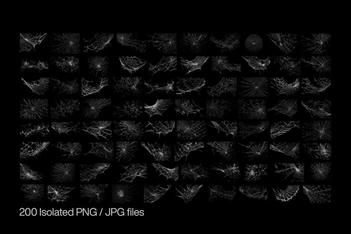 free spiderweb png textures high resolution 02 Desigix Shop