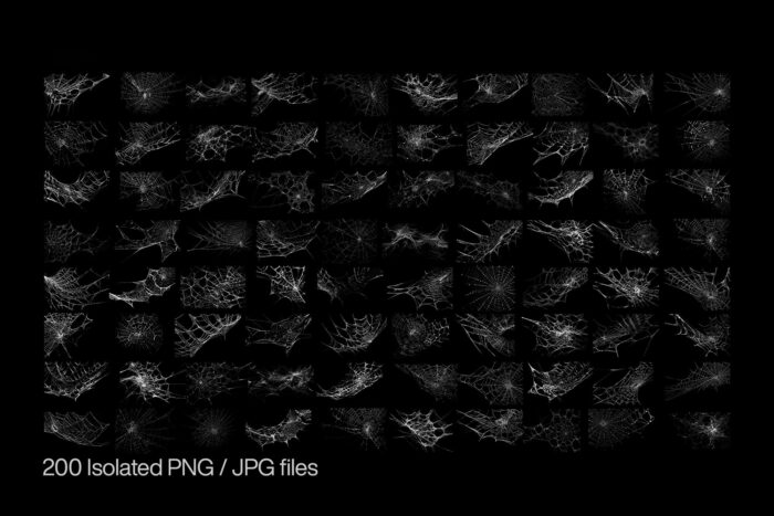 free spiderweb png textures high resolution 03 Desigix Shop