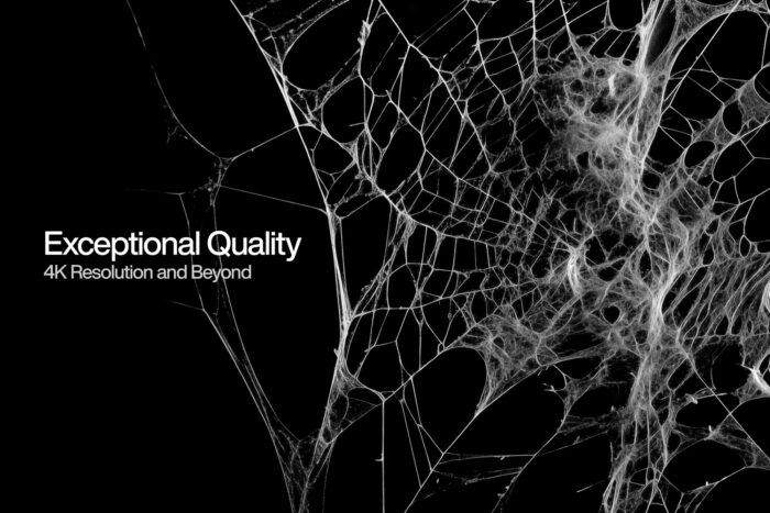 free spiderweb png textures high resolution 05 Desigix Shop